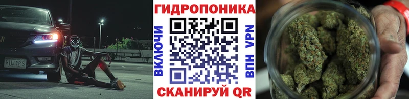 Виды наркотиков купить Черногорск Cocaine  АМФЕТАМИН  Гашиш  МЕФ  А ПВП 