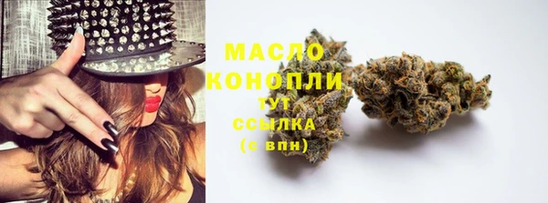 СК Зерноград
