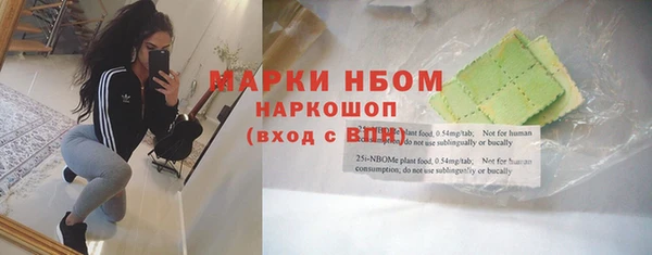 СК Зерноград