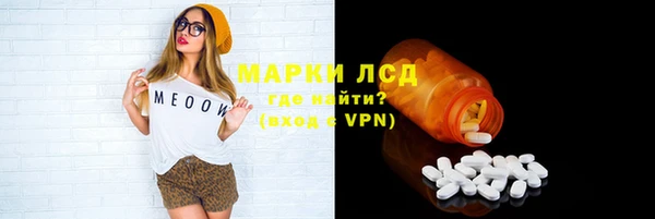 СК Зерноград