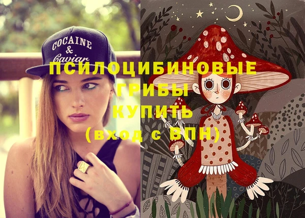 СК Зерноград
