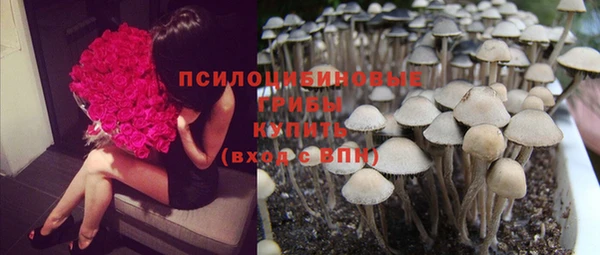 скорость Зеленодольск