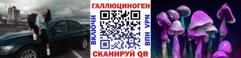купить  цена  KRAKEN зеркало  Галлюциногенные грибы GOLDEN TEACHER  Черногорск 
